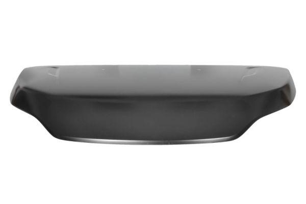 capot-iveco-2014